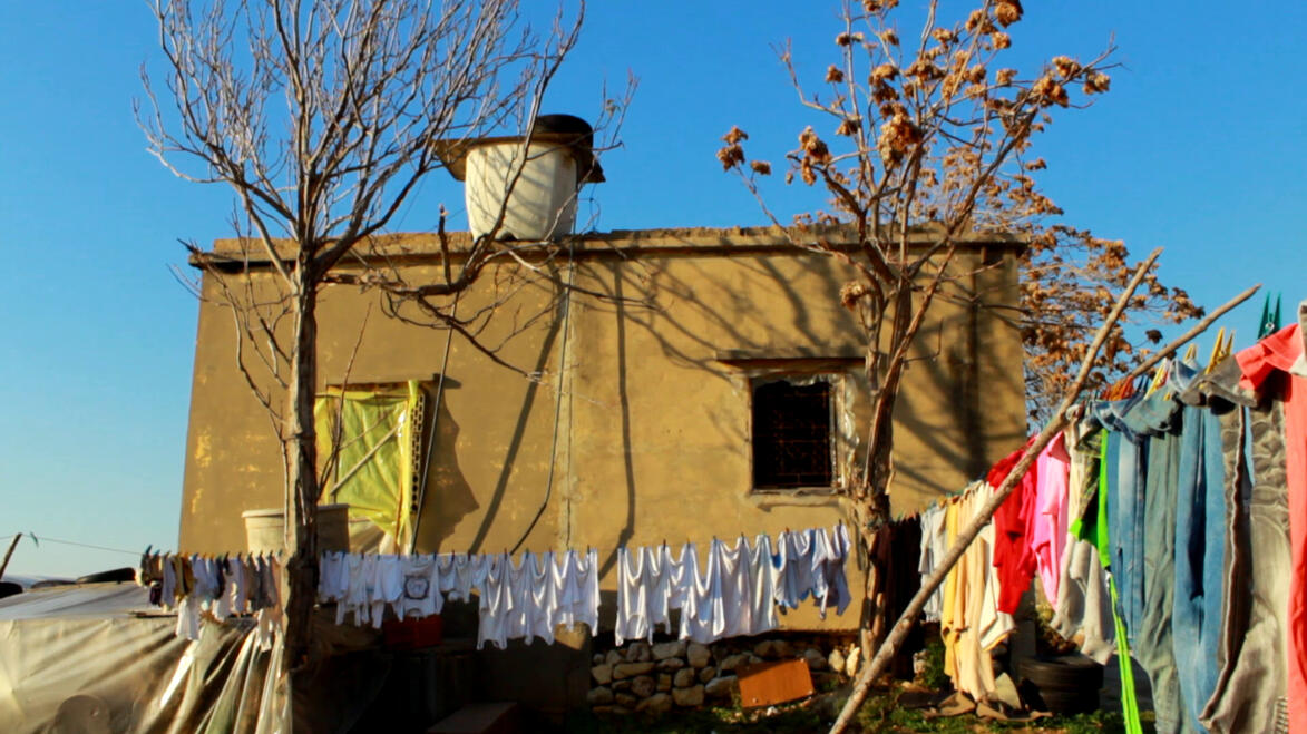 Fresh Tomatoes // Documentary // 2 minutes